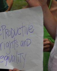 Youth Activism in School